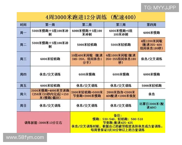 全面提升体能与技巧的运动训练计划探索与实践 全面提升体能与技巧的运动训练计划探索与实践