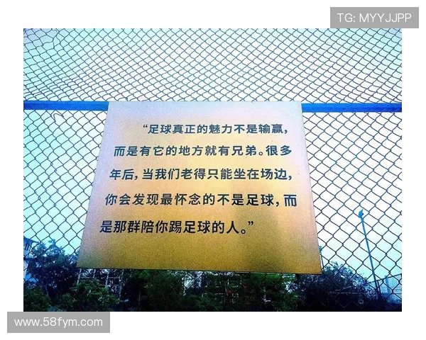 足球的魅力与精神：从场上拼搏到场外影响力的全方位探讨