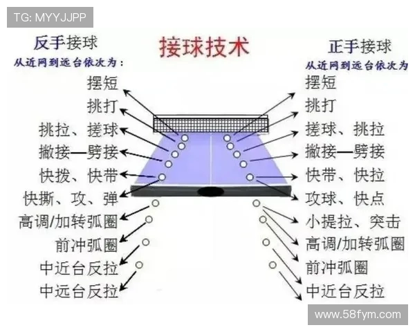 乒乓球新手必看耐力提升技巧与训练方法全攻略